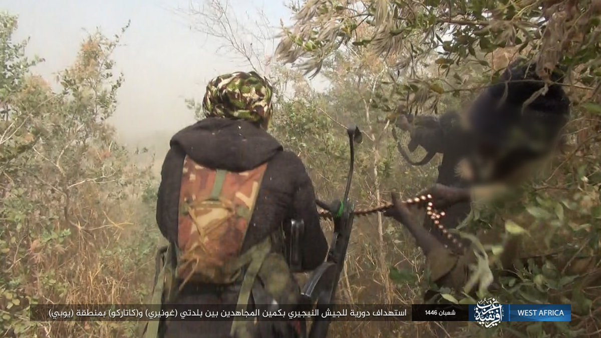 An Islamic State ambush on the Nigerian army patrol on the road Goniri-Katarko in Yobe state Nigeria